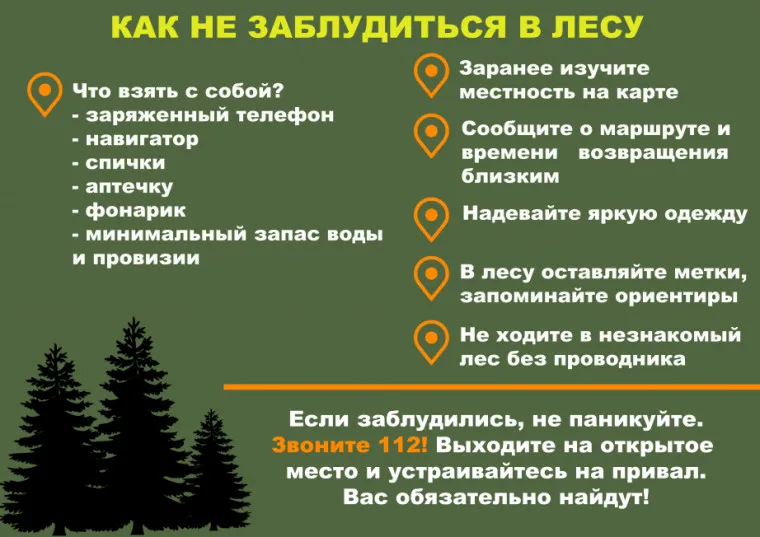 Как не заблудиться в лесу.